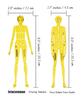 Traceease Female Human Figure Template Stencils Fashion Designer  s Drafting Tools, 2 Piece