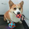 Hundeballer med klokkelyd Gummi hoppende henteball Tyggemotstandsdyktige tenner rengjøring Anemone Interaktiv ball for valper Små mellomstore hunder Interaktiv