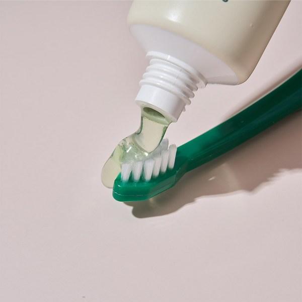 Pet Flago Toothpaste, 80g, 1 Unit, Korean Pet Shampoo