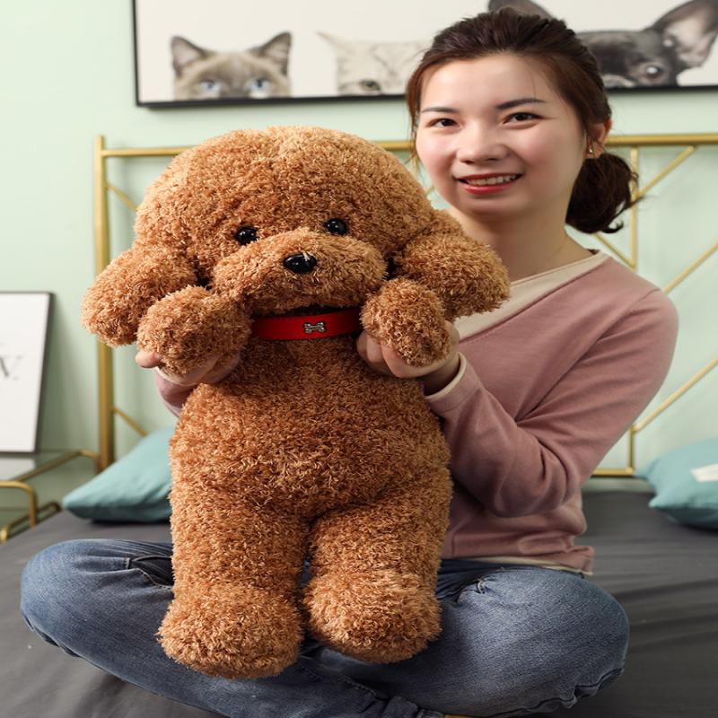 Teddybär Plüschtier Stofftier, Niedliche Lockige Welpenpuppe Sitzende Pose, Weicher Kuscheliger Begleiter Geschenk