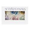Scented Soy Wax Candles with Dried Flowers and Glitter - Crystal Shell Collection Gift Set