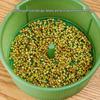 Anvelo Hydroponic Sprout Growing Jar