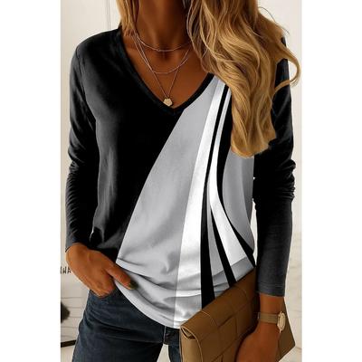Women's T-Shirts Classic Geometric Graphic Elegant Fashion T-shirts Long Sleeve V-Neck Regular Tops Pullover Fall Winter