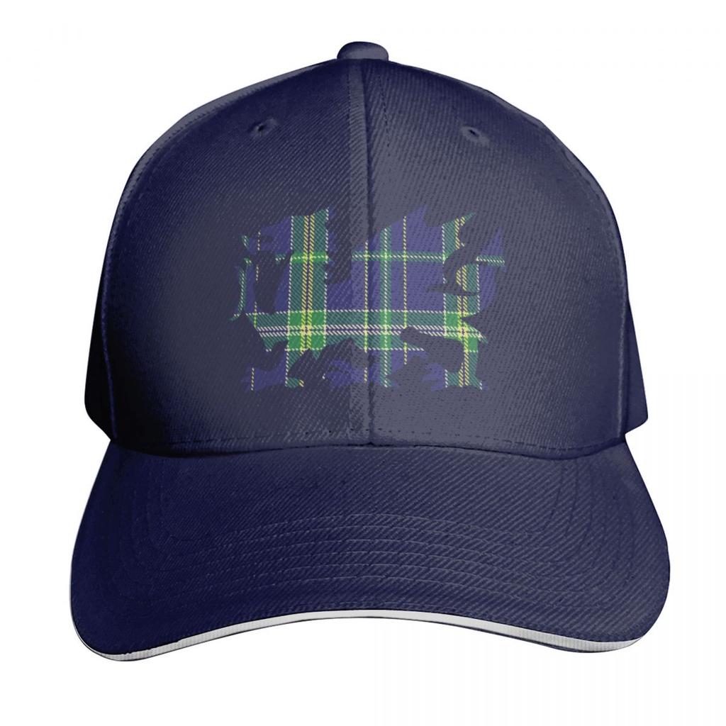 Lewis Family Welsh Dragon Tartan Baseball Cap Snapback Cap Visor Bobble Hat Luxury Hat Caps For Women Unisexs