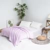 Mercury Home Textiles Yixiang Antibacterial Mulberry Silk Comforter