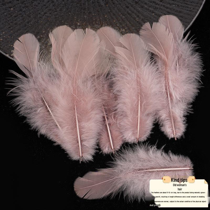 Piume di Pollo e Pavone Multicolori per Ornamenti Fai-da-te, Artigianato e Accessori per Abbigliamento fatti a mano.