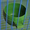 Bird Bowl Round Innoxious Plastic Practical Bird Feeder for Parrot