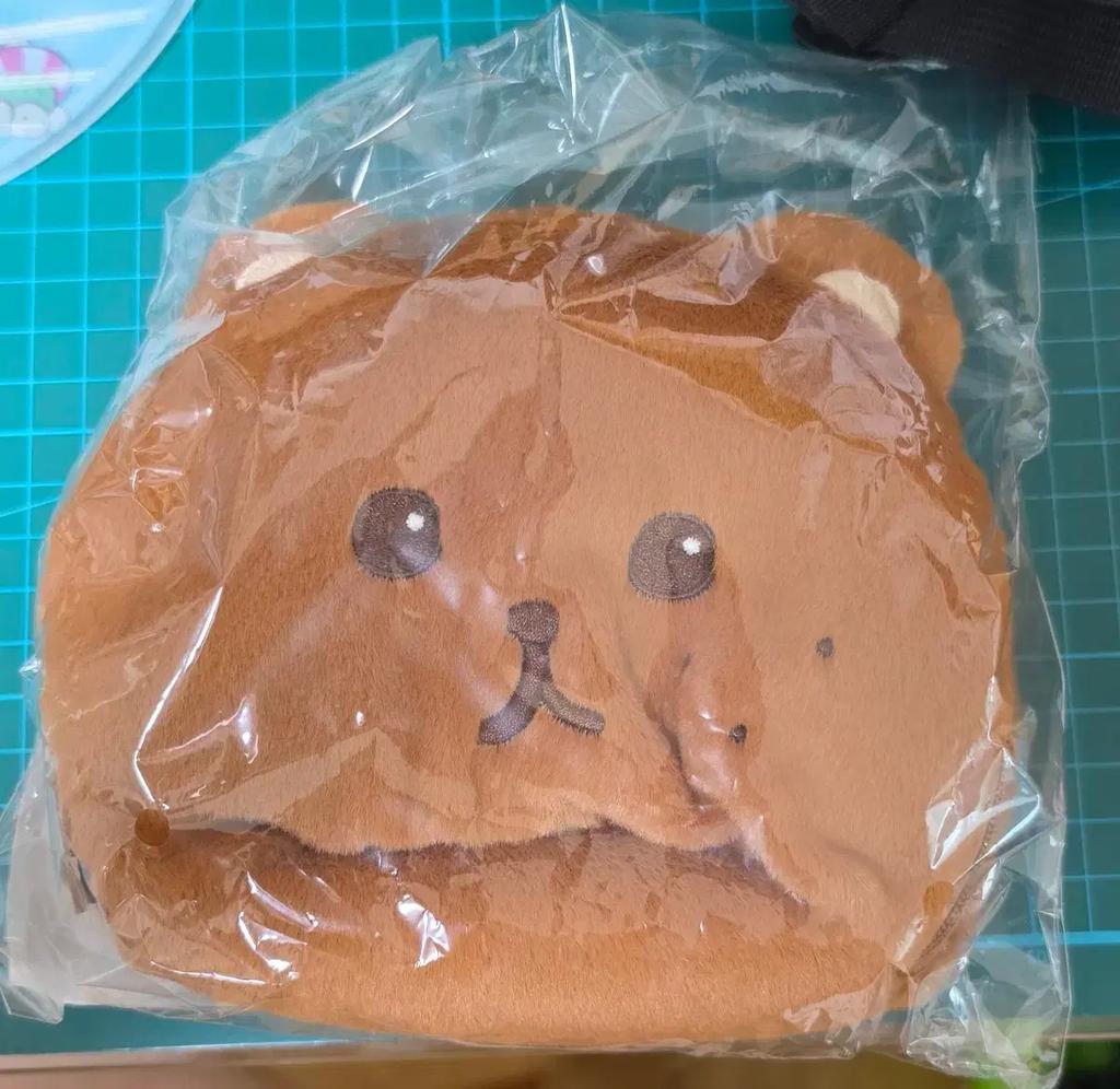 Unopened Haechan decorative pouch, sold at cost price.