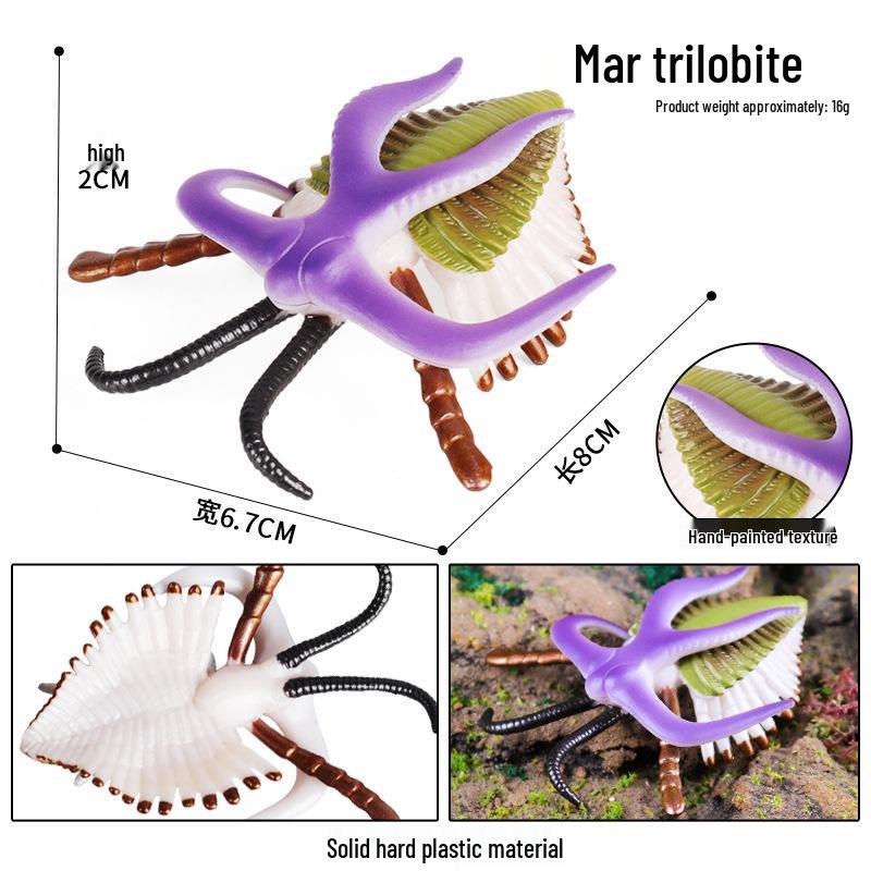 Ancient Marine Life Model: Trilobite, Eurypterid, Pikaia, Sea Scorpion, Nautilus Toy