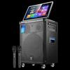SAST Portable KTV Speaker System CN Plug (adapter Included)