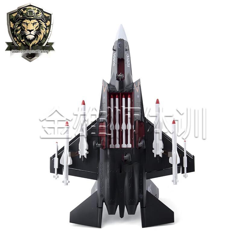 J-31 Fighter Jet Alloy Model