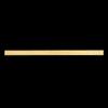 Jin Peiqi Brass Ruler