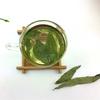 Natural Stevia Leaf Herbal Tea, Chinese Herbal Tea
