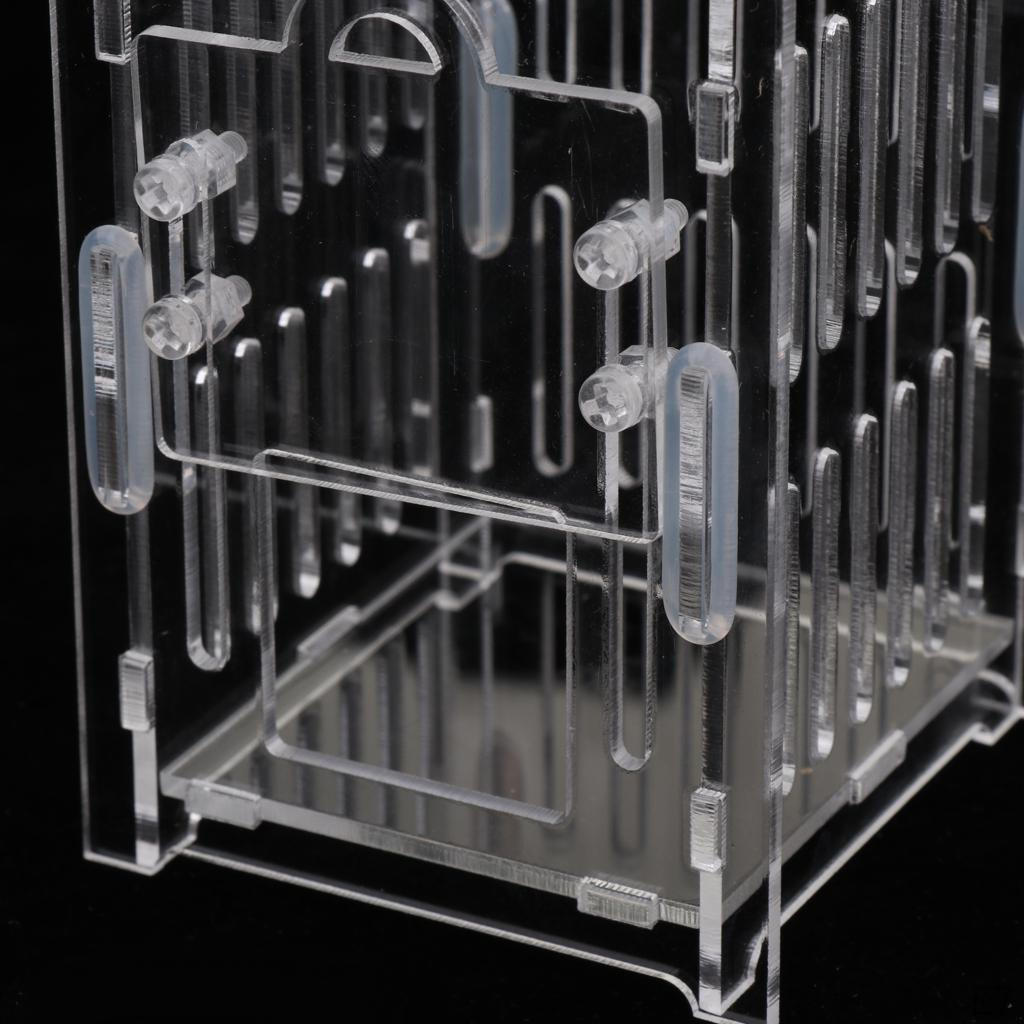 Spider Insect Cricket Tank Vivarium Cage Box Clear Acrylic Terrarium