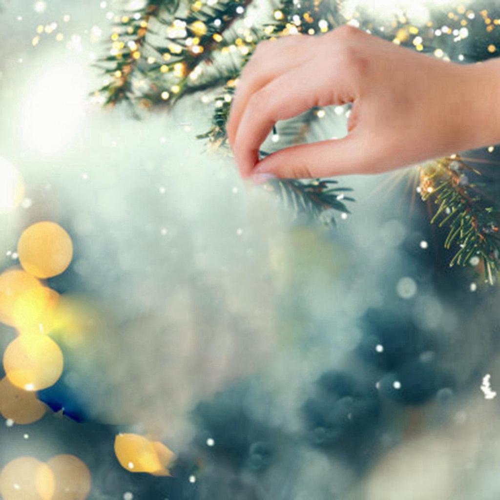 Christmas Cat Car Pendant Decoration