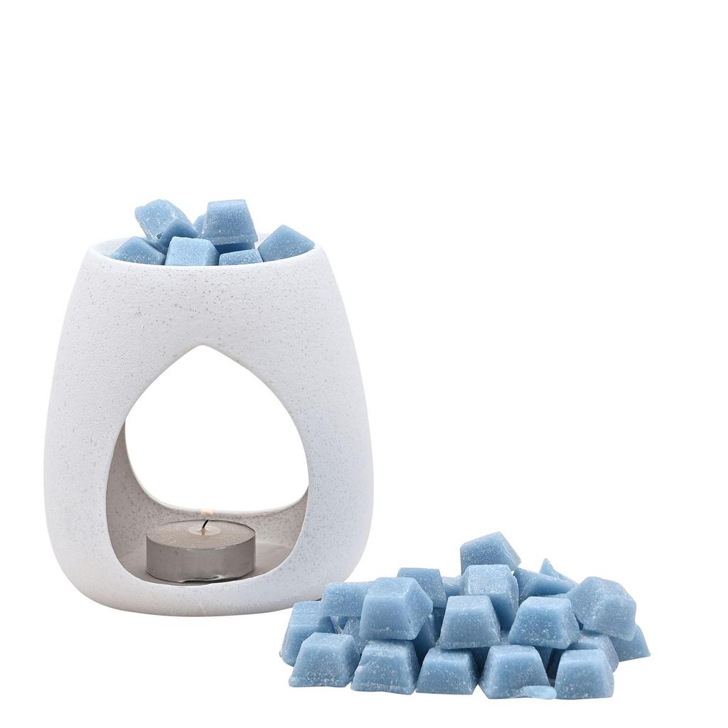 Northern Lights 5lbs of Wax Melts - Cotton Blossom & Dogwood