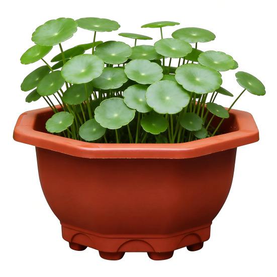 Air Circulation Flower Pot Breathable Thickened Plastic Planter for Bamboo Clivia Drainage Holes Downward Growth Pot for Home Garden Balcony