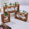 Wooden Stand Hydroponic Glass Vase Set for Pothos 3 Round Bulb Bottles with Clip Frame