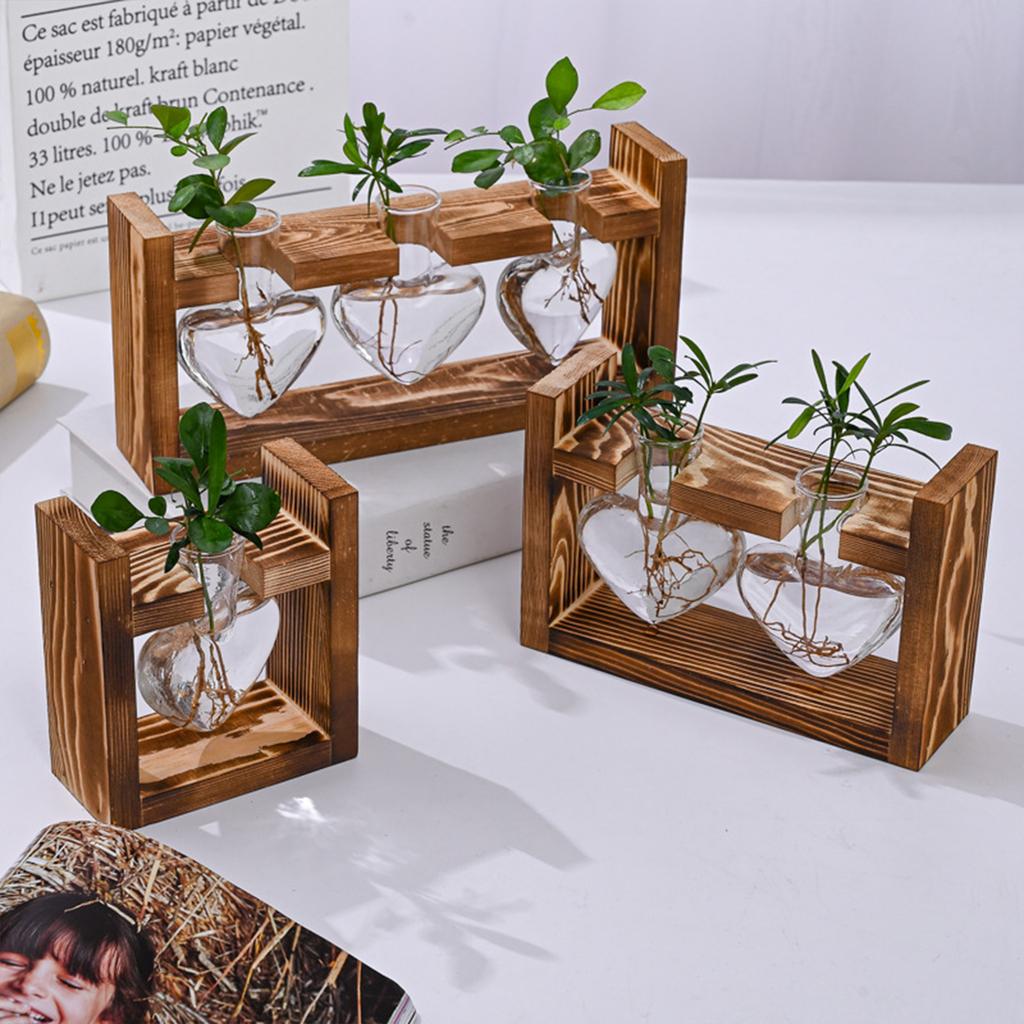 Wooden Stand Hydroponic Glass Vase Set for Pothos 3 Round Bulb Bottles with Clip Frame