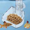 Bürste mit Saugnapf Garnelenfutterspender Aquarium Zubehör Fischfütterungsrohr Garnelenfütterungsrohr