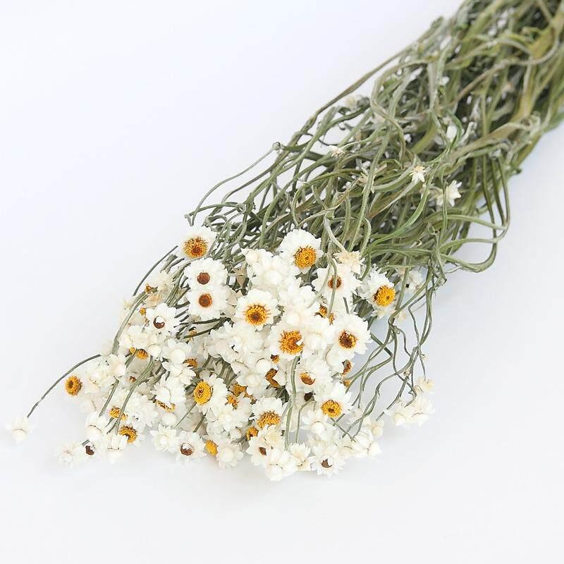 Elegant High-End Natural Dried Flower Arrangement for Living Room or Homestay Decor