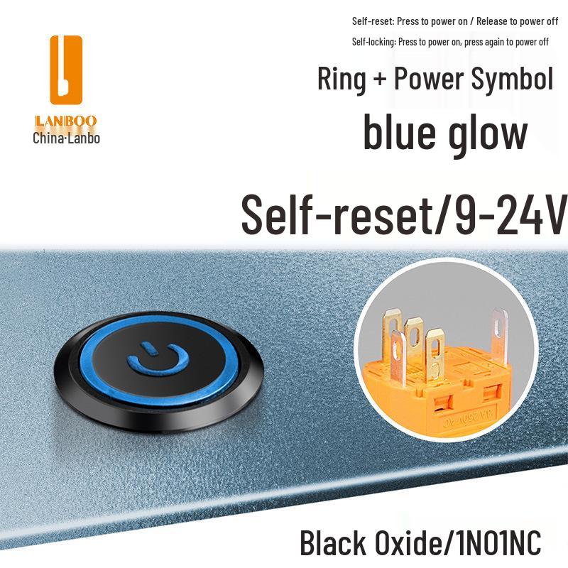 Lanbo 22A Stainless Steel Illuminated Self-Locking Momentary Push Button Elevator Switch