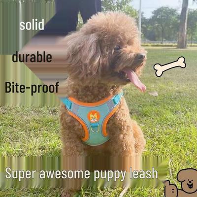 Vest-Style Dog Leash: Anti-Choke for Small To Medium Breeds Like French Bulldogs, Corgis, and Teddy Dogs
