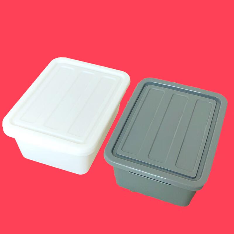 Homeglen Lidded Plastic Restaurant Storage Box
