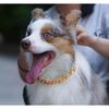 Dog Chain Collar Gold Durable Light Metal Dog Gold Cuban Link Cute Fashion Jewelry Accessories for Dogs (19MM)(12)