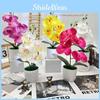 Artificial Phalaenopsis Potted Plant Silk Fabric Material Props Photography