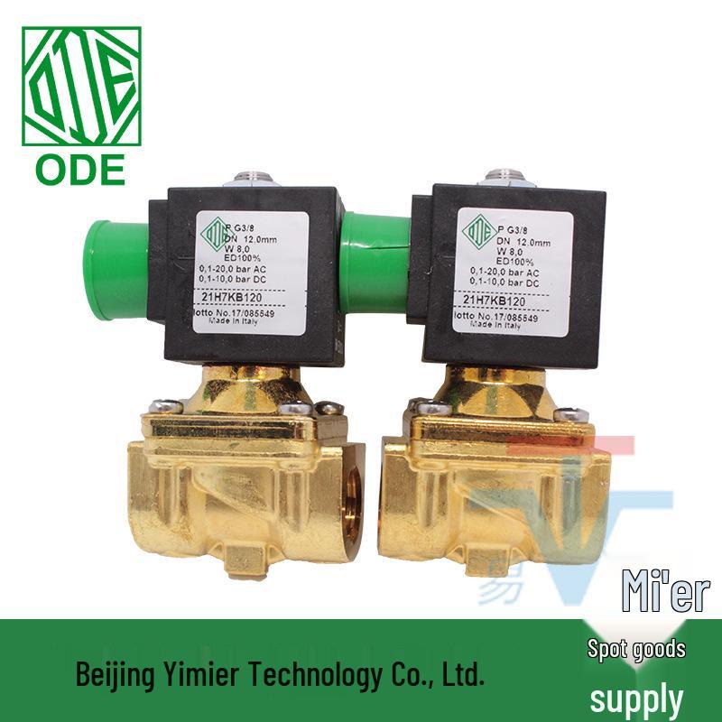 Solenoid Valve 21H7KB120 220V DN10 Pilot-Operated, Two-Way Normally Closed