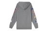 Jordan Air Jordan Jackets Men's Hooded Moderate Other CJ7880-091