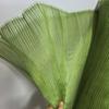 Thin Sheer Pleated Organza Fabric Bright Pleated Stiff Mesh Organza Dress Fabric Soft Comfortable DIY Sewing Fabric
