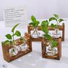 Plants Propagation Station with Wooden Stand Indoor Plant Terrarium Hydroponic Flower Holder Container Decoration Table Centerpiece