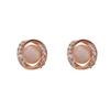 New Models, High-end Earrings Temperament Atmospheric Earclips Exquisite Earrings Women's Anti-allergic