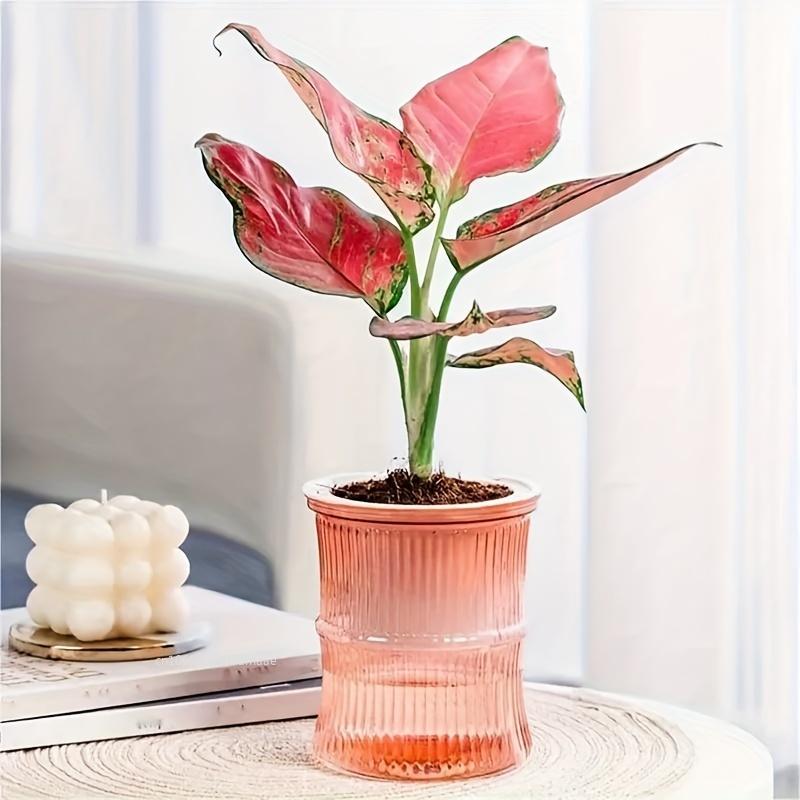 Self Watering Flowerpot Automatic Water Absorbing Flowerpot Double Layer Transparent Plastic Succulent Plant Pot Decorative Pot