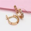 Purple Gold-Plated Rose Gold Female Seiko Inlaid Zircon Thickened Style Fashion Temperament Classic Ear Buckle