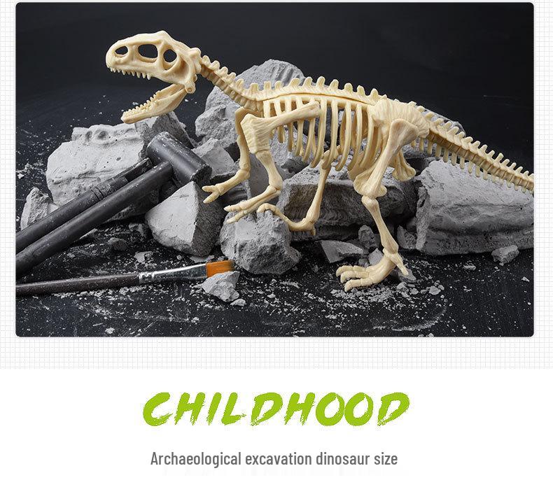 DIY Dinosaur Fossil Excavation Toy: Tyrannosaurus & Triceratops Skeleton Models for Kids