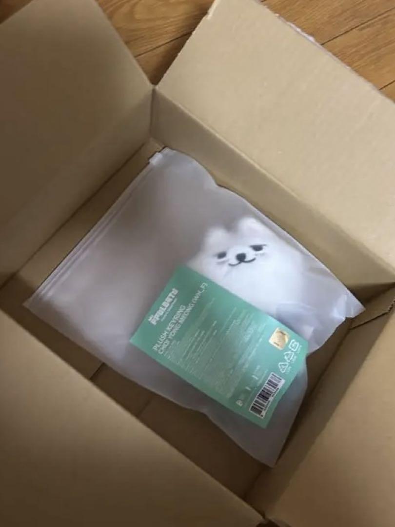 

[Б/У] Pulbadu Доставка в тот же день!!! Субин Ёнмон