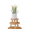 Minimalist Bamboo Plant Stand For Small Plants And Kids Room Decor