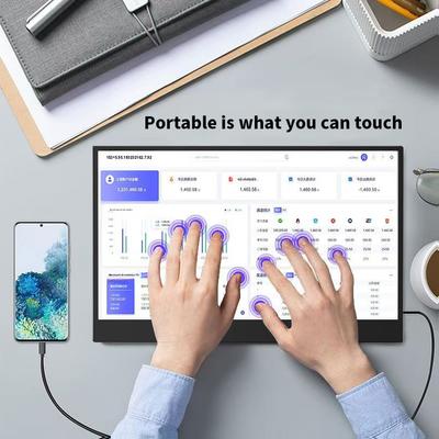 Počítačové periférie – Prenosné monitory