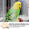 Bird Perch Stable Chewing Playing Toy Parakeet Cage Perch For Standing For Parakeet Conure Lovebird Canary Cockatoo Finch Living