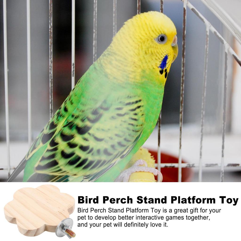Bird Perch Stable Chewing Playing Toy Parakeet Cage Perch For Standing For Parakeet Conure Lovebird Canary Cockatoo Finch Living