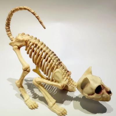 Kreatívna Halloweenska Strašidelná Kostra Dekorácia Krčiaca sa Kostra Mačky Model Lebky Mačky Strašidelné Zvieracie Kosti pre VAMPIRE Párty Trik