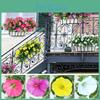 Beautiful 35cm Artificial Morning Glory Flower Fake Silk Petunia With Seven Branches For Home Decor