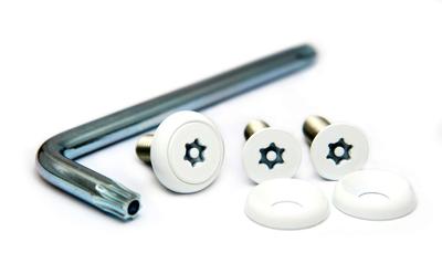 Pintorux Sara Stainless Steel (White) License Plate Bolts 3 Piece & Tool Set M6 X 20
