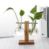 Decoration Bonsai Terrarium Tabletop Flower Pot Glass Vase Wooden Frame Hydroponic Plant Vases
