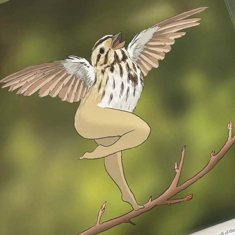 2026 Bird Wall Calendar Beautiful Wild Bird Species Patterns Monthly Planner Home Office Wall Decor Practical Organizer