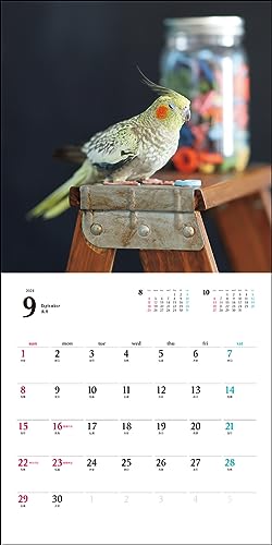 2024 Calendar Cockatiel (Seibundo Shinkosha Calendar)