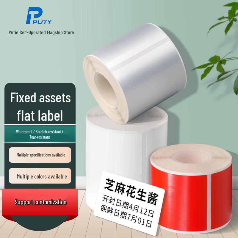 PUTY Matte Silver Thermal Transfer Asset Labels 50x70mm, 200 sheets